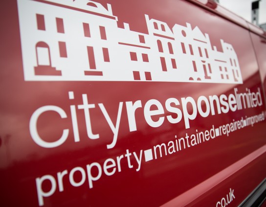 Vehicle Graphics